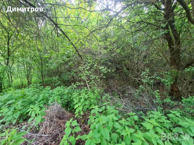 Продава парцел 648 м2, в жилищна зона на махала „Логатор”, село Гоз, гр. Брезник, снимка 7 - Парцели - 51595417