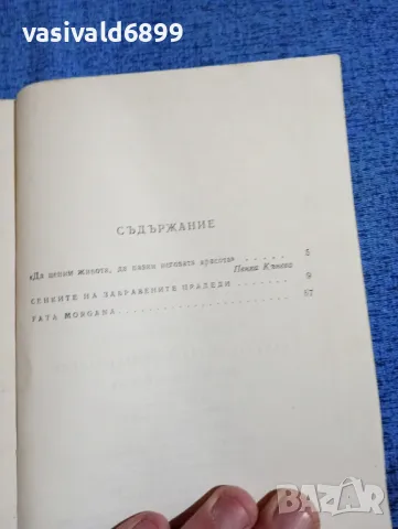Михайло Коцюбински - Сенките на забравените прадеди , снимка 5 - Художествена литература - 49884391