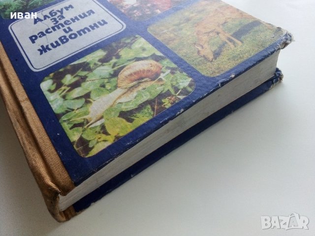 Албум за растения и животни - Н.Боев,С.Петров,П.Кръстев - 1976г., снимка 12 - Енциклопедии, справочници - 40616804