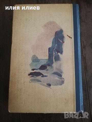 Граф Монте Кристо, снимка 3 - Други - 37548332