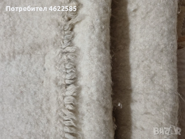 Голямо бяло халище