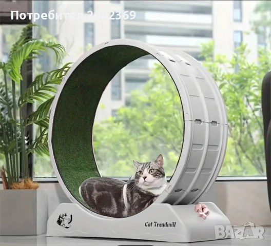 Фитнес за котки, снимка 2 - За котки - 51927054