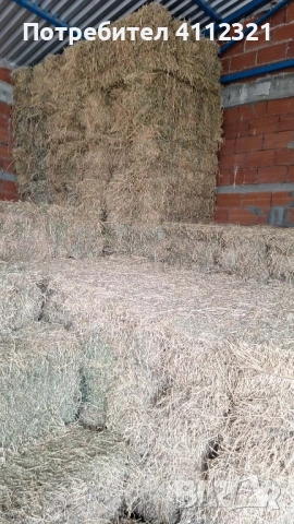 Бали люцерна - доставка на място , снимка 3 - За селскостопански - 53218939