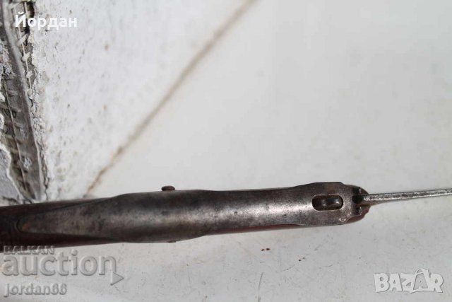 Немска ножка окапи, снимка 3 - Колекции - 39710350