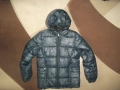 Зимно яке SCORPION BAY  мъжко,Л, снимка 2