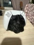 Стойка за PS5 контролер , снимка 2