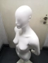 Манекен Дамски Торс, снимка 3