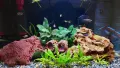 Скали за аквариум, снимка 1