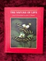 The nature of life, снимка 1