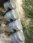 Двигател M60B30 BMW , снимка 8