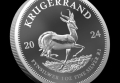 Южна Африка 2024 - 1 OZ - Кругерранд - Сребърна монета, снимка 4