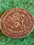 Колекционерска значка ПРИВРЕМЕННОТО ПРАВИТЕЛСТВО Б.Р.Ц.К уникат 52803, снимка 3
