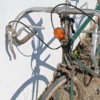 Китайски бегач, снимка 3 - Велосипеди - 32164181