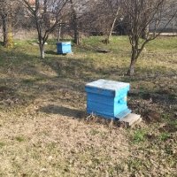 Пчелни кошери , снимка 1 - За пчели - 39898725