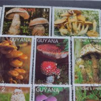 Пощенски марки чиста комплектна серия Гъби стари редки за колекция декорация - 22047, снимка 6 - Филателия - 36642280
