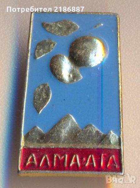 Значка СССР Алма Ата, снимка 1