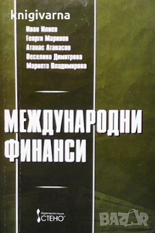 Международни финанси Иван Илиев, снимка 1