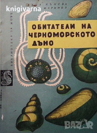 Обитатели на черноморското дъно Веса Кънева, снимка 1