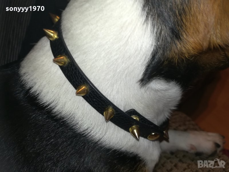 кожен нашииник с златни шипове-внос франция, снимка 1