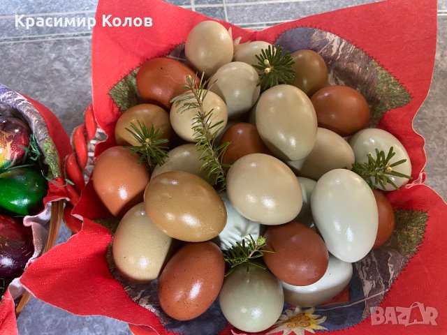 Разноцветни домашни яйца от различни породи кокошки за консумация и люпене, снимка 5