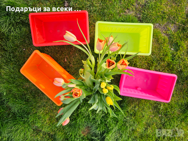 Цветни сандъци за цветя 30см! Промоция 7бр цветни сандъци за 19.90лв, снимка 7 - Саксии и кашпи - 44707404