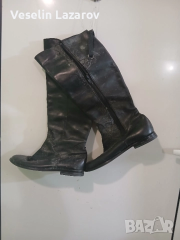 Дамски здрави 37.