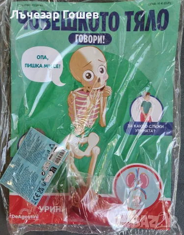 Човешкото тяло говори брой 29 -40 брой., снимка 9 - Колекции - 52217108