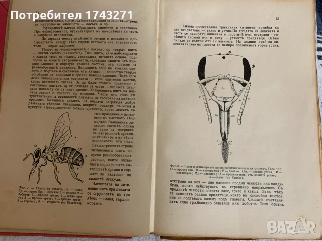 Пчеловъдство и болести по пчелите 1938 г. Александър Тошково пчелите 1938 г. Александър Тошков, снимка 3 - Антикварни и старинни предмети - 53208228