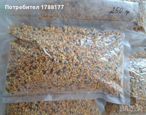 Пчелен прашец , снимка 10 - Пчелни продукти - 51317272