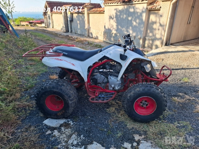 Can-Am DS 250 2009 , снимка 7 - Мотоциклети и мототехника - 52060885