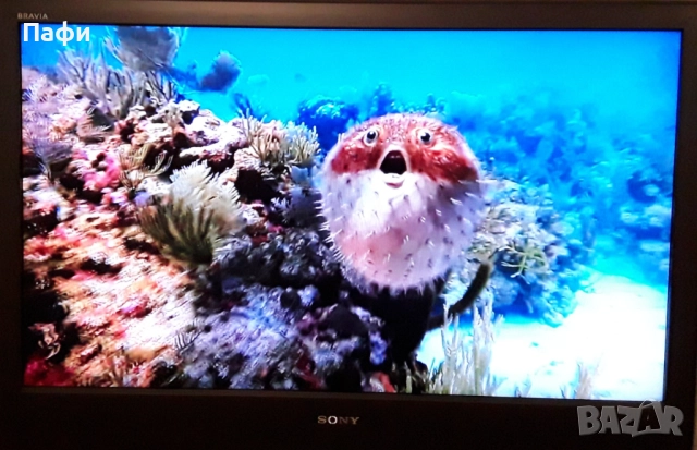 Sony KDL 40S 2510, снимка 4 - Телевизори - 52915383
