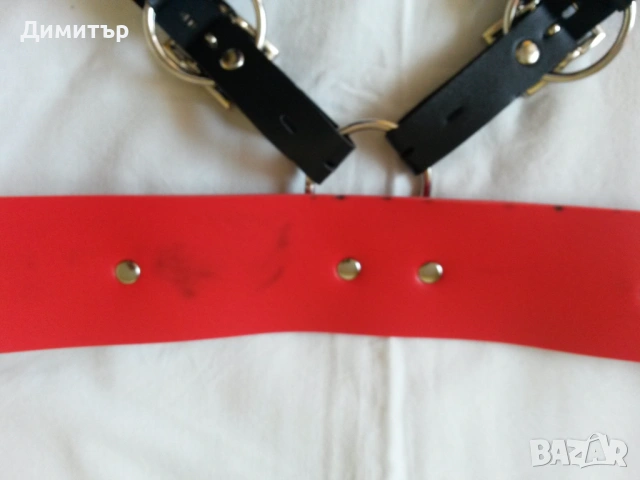 Харнес с нашийник, снимка 5 - Други - 54247839