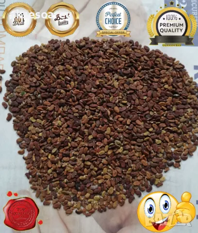 Продавам 400 висококачествени семена от бързо растяща Бяла медоносна акация Бял облагороден салкъм , снимка 14 - Сортови семена и луковици - 49258986