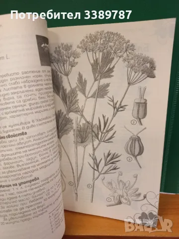 Златен билков наръчник - Веселина Стоянова, снимка 2 - Специализирана литература - 49533139