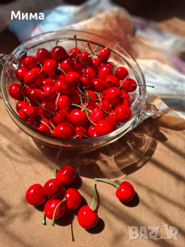 Изкуствени резенчета плодове, снимка 16 - Декорация за дома - 51359601