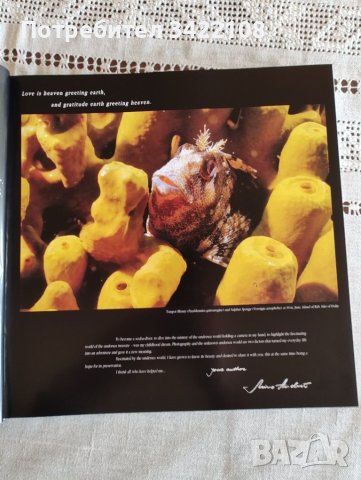 Богато илюстрирана книга, твърди корици: Подводният свят на Хърватия, снимка 5 - Специализирана литература - 42891596