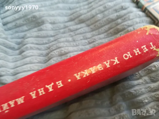 ЕДНА МАЙКА 0701250912, снимка 3 - Художествена литература - 48581159