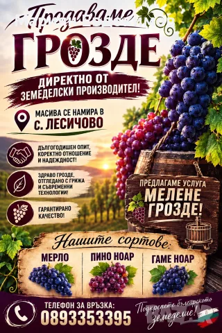 Грозде Мерло Пино Ноар