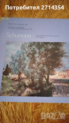 Плочи класическа музика , снимка 11 - Грамофонни плочи - 50461925