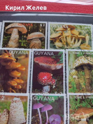 Пощенски марки чиста комплектна серия Гъби стари редки за колекция декорация - 22047, снимка 6 - Филателия - 36642280