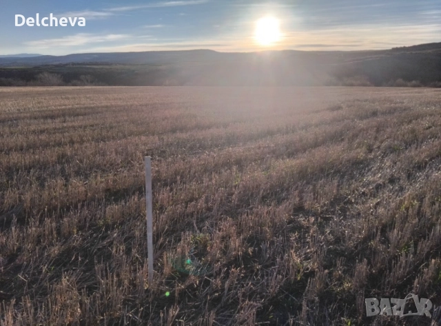 Земеделска земя област Перник, град Батановци 4451кв.м, снимка 7 - Земеделска земя - 52595651