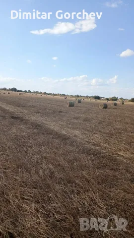 Бали ожъната люцерна