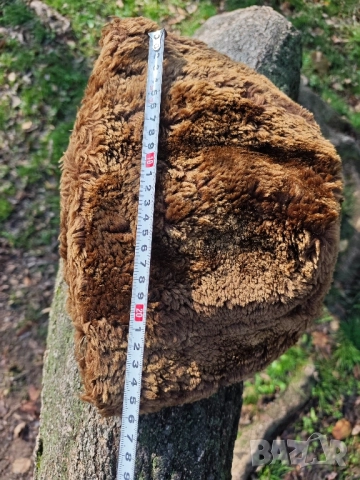 Продавам стар калпак за носия, снимка 5 - Антикварни и старинни предмети - 52521319