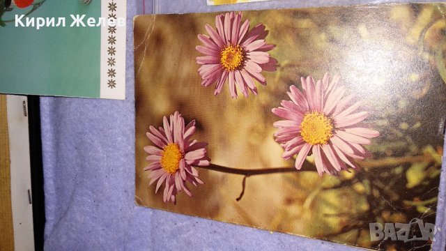 ЛОТ 4 КРАСИВИ СТАРИ ПОЩЕНСКИ КАРТИЧКИ ТЕМА ЦВЕТЯ ПРОЛЕТ БЪЛГАРСКИ и СССР 6256, снимка 3 - Филателия - 38810696