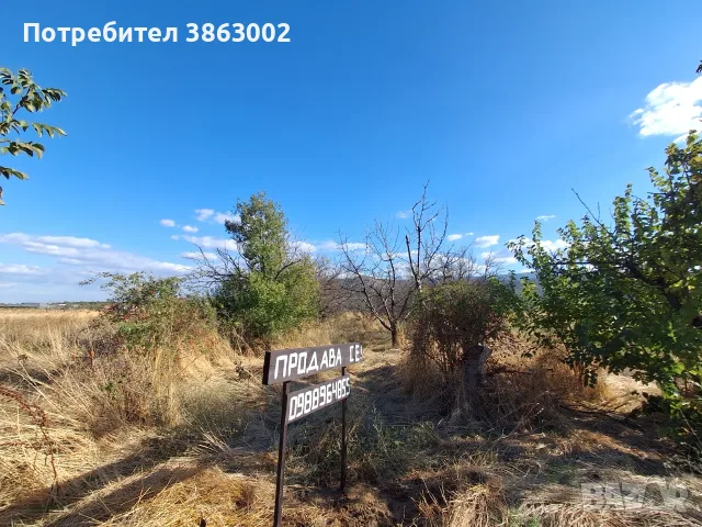 Парцел първенец, снимка 8 - Парцели - 56330711