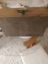 Стар куфар запазен, снимка 3