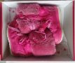 Детски ботуши апрески розови за момиче зимни боти момичешки, снимка 3