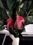 Ароматни глицеринови рози, снимка 3