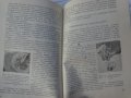 Книга Автомобили Застава и Фиат 600D  устройство и ремонт Техника София 1967 год., снимка 10