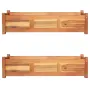 vidaXL Градински повдигнати лехи, 2 бр, акациево дърво, 100x30x25 см（SKU: 3057522）, снимка 1